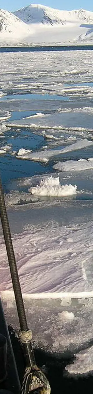 Durchs Packeis auf der Suche nach Eisbären